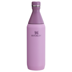 All Day Slim Bottle | 20 OZ - Stanley Create