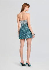 Tancy Sequin Dress